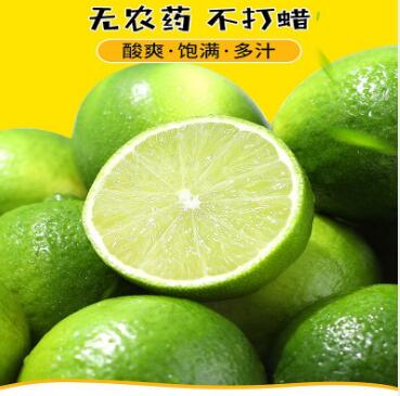 青柠檬2/5斤装新鲜水果果园直发新鲜水果非无籽柠檬