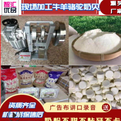 现压奶片 地摊展销会内蒙古奶贝 骆驼奶贝 牛羊驼奶粉 压片机