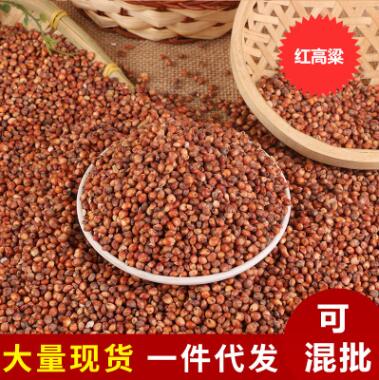 红高粱批发食品加工原料 米信鸽饲料五谷杂粮酿醋酿酒红高粱50k图3