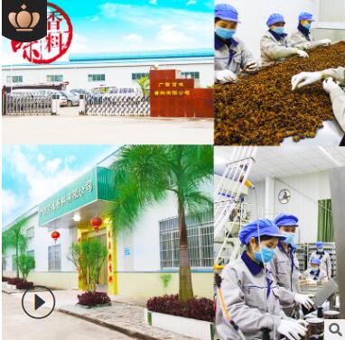 厂家直销五香粉调料瓶装家用焖炒炖腌肉调料厨房植物香辛料调味品图3