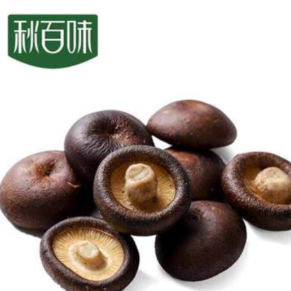 香菇脆 即食香菇干脆片批发散装脱水蔬菜果蔬干一件代发微商热销图2
