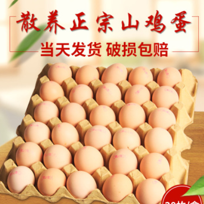30枚蒙山小院初产土鸡蛋山鸡蛋柴鸡蛋笨鸡蛋鸡蛋厂家全国招商