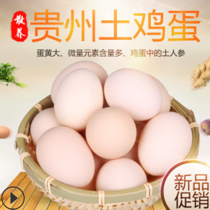 厂家批发 土鸡蛋 贵州土特产 鸡蛋盒装 新鲜生鸡蛋包邮