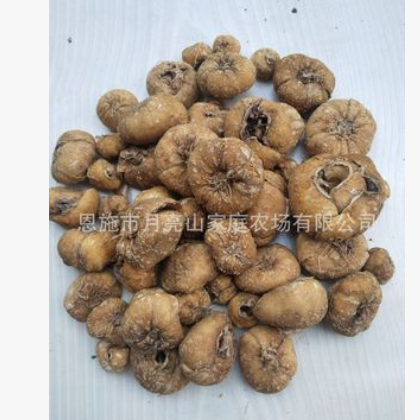 贝母片浙贝川贝勤母苦菜苦花空草药实贝母干货批发图2