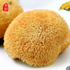 庆元猴头菇干货150g 产地货源网店代理 干蘑菇 食用菌农夫产品