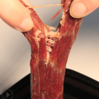 牛肉干独立包装468g风干熟食冷吃手撕牛肉干休闲零食批发图3