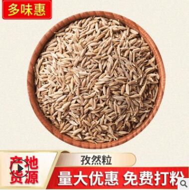 烧烤调料调味孜然 香辣川香料孜然粒 香辣川烧烤孜然颗粒散装图2