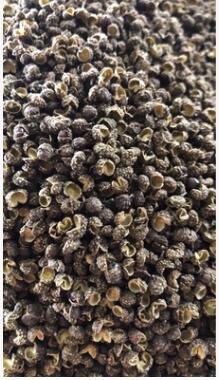 产地批发云南青花椒花椒开口80%图2
