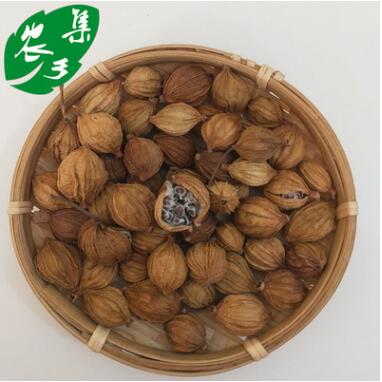农集乡砂仁 香砂仁 阳春砂 卤菜调料香料炖肉250g图2