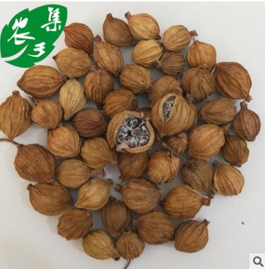 农集乡砂仁 香砂仁 阳春砂 卤菜调料香料炖肉250g图3