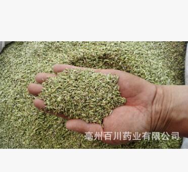 百川药业 小茴香 选装 颜色青 品质保障图2