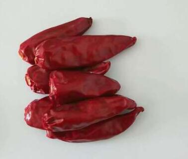 厂家直销天然优质子弹头中辣特香农家干红辣椒红油泼辣子辣椒片图2