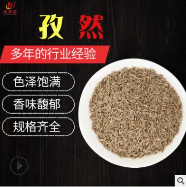 批发 散装孜然粉 烧烤调味料孜然碎撒料腌料炸串麻辣烫 孜然粉图3