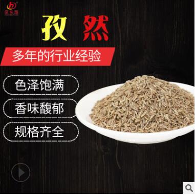 批发 散装孜然粉 烧烤调味料孜然碎撒料腌料炸串麻辣烫 孜然粉图2