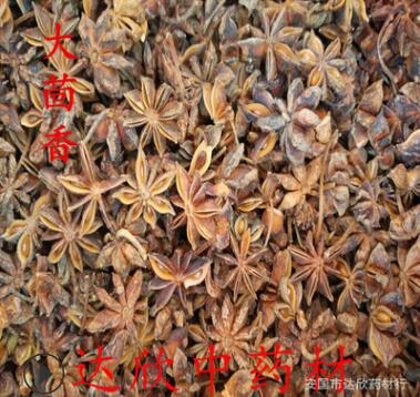 供应中药材大茴香调料大料干净无杂图2