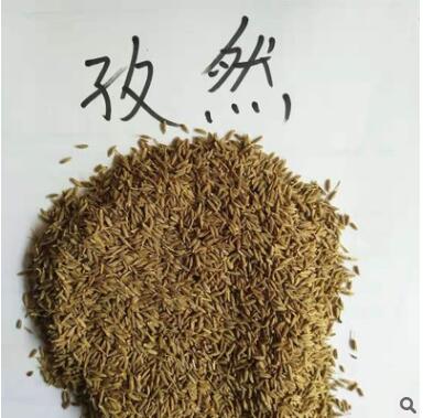 孜然 新疆孜然 进口孜然 孜然粉图3