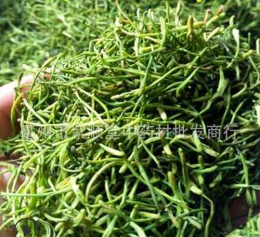 批发供应干金银花 河南封丘金银花 散装花草茶 代加工花茶图3