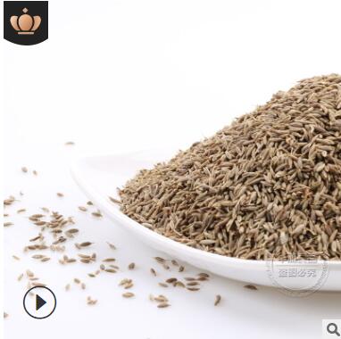 欧标99%印度孜然1斤 散装孜然粒 烧烤调味料孜然撒料腌料批发图2