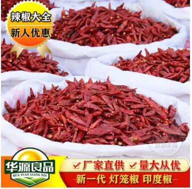 天鹰椒印度魔鬼辣椒 500g 干辣椒 火锅底料调味香料辣椒干批发图2