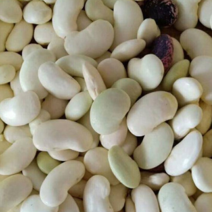 三清山恒森 有机红小豆 红豆 杂粮红小豆 江西特产 可定制代工图3