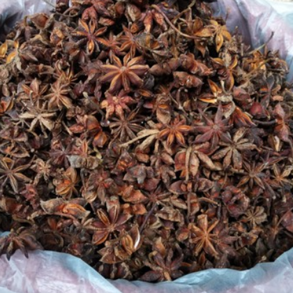 特级大红八角/大料 增香提味火锅底料鱼调料 批发图3