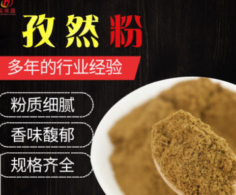 厂家直销 孜然粉烧烤调味料孜然碎撒料腌料炸串麻辣烫 孜然粉