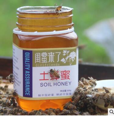 江西土蜂蜜乌桕蜜中华蜂蜜500g深山百花蜜