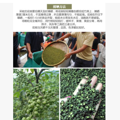 青麻椒四川青麻椒批发青麻椒藤椒云南椒图2