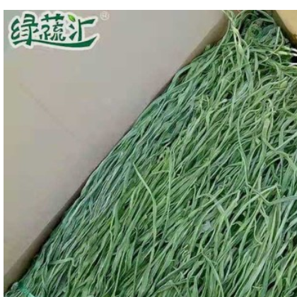 贡菜干货特级净重约10斤 干贡菜干苔菜脱水蔬菜重庆火锅菜品冒菜图2