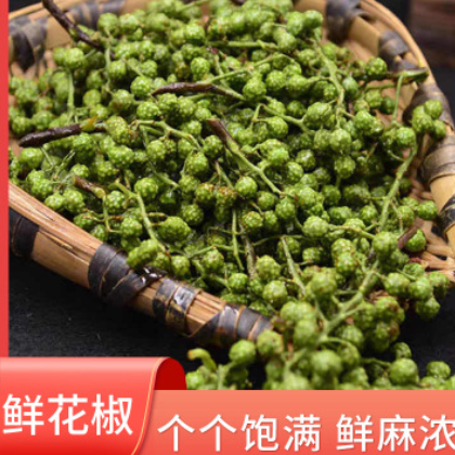 大量销售供应 鲜花椒 青花椒 新鲜 青花椒粒 麻椒干货香辛料