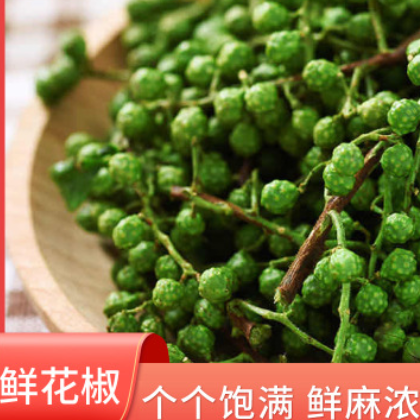 大量销售供应 鲜花椒 青花椒 新鲜 青花椒粒 麻椒干货香辛料图2