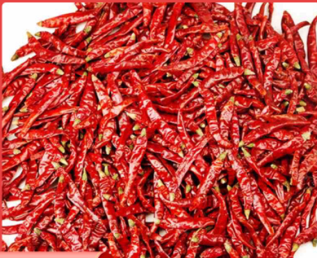 印度魔鬼辣椒干辣椒 火锅底料调味香料辣椒干批发 大量供应图2