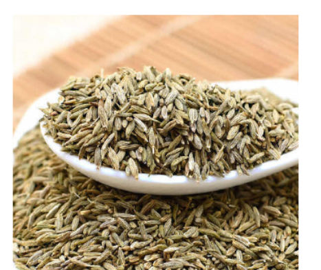 大量批发供应孜然浓香孜然粒烧烤撒料孜然粉孜然碎低价孜然图3