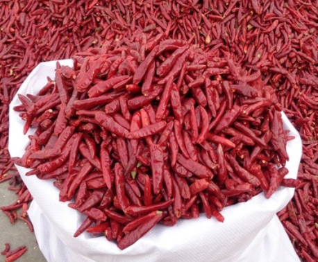 产地货源内黄新一代 大量现货辣椒干餐饮火锅底料 新一代干辣椒图2