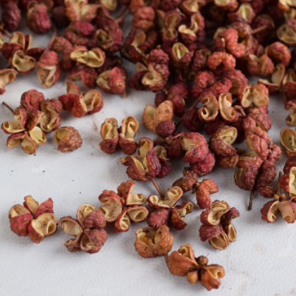 厂家直销供应 优质红花椒 调味品调味品香料火锅底料 烧烤佐料图3