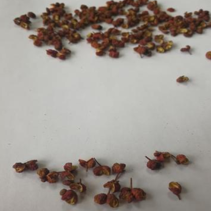 花椒粒 厂家批发定制火锅底料调味品批发花椒粒定制图2