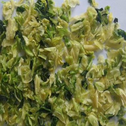 脱水高丽菜厂家批发 卷心菜包头菜脱水蔬菜现货供应脱水蔬菜图2