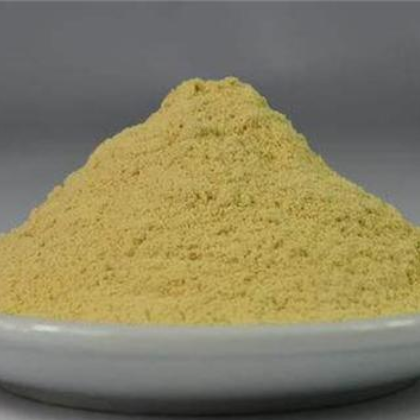 双孢菇粉 厂家批发定制脱水双孢菇粉量大优惠山东厂家批发图3