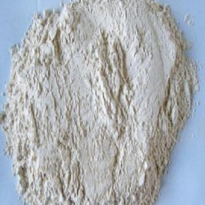 洋葱粉 厂家批发AD白洋葱粉脱水蔬菜粉多规格定制批发图2