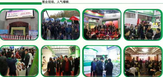 QQ截图20210226152501