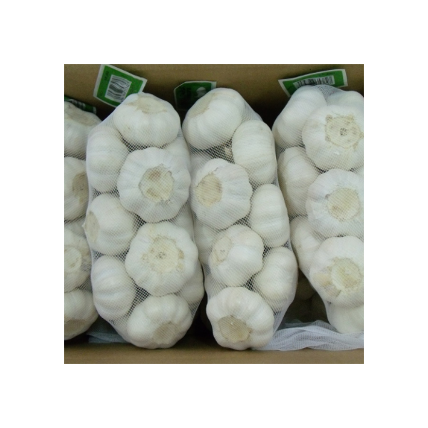 供应出口纯白大蒜原产地金乡5.5cm6.0cm 量大优惠