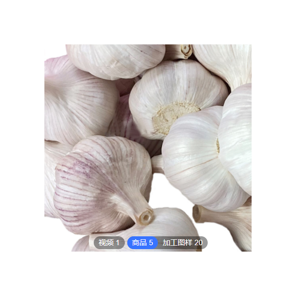 出售大蒜网袋 金乡大蒜 中国大蒜出口 10kg网袋