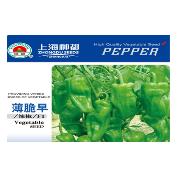 种都种业加盟图2